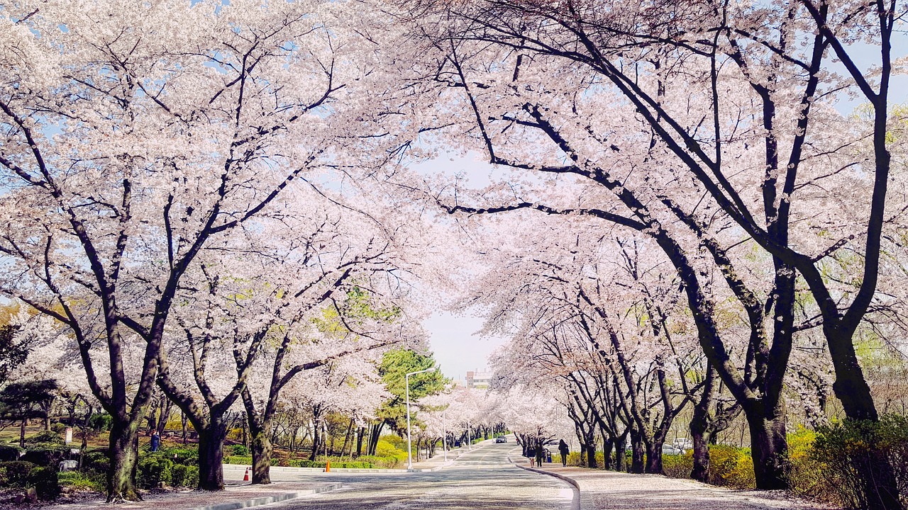 대구 북구 원룸 월세