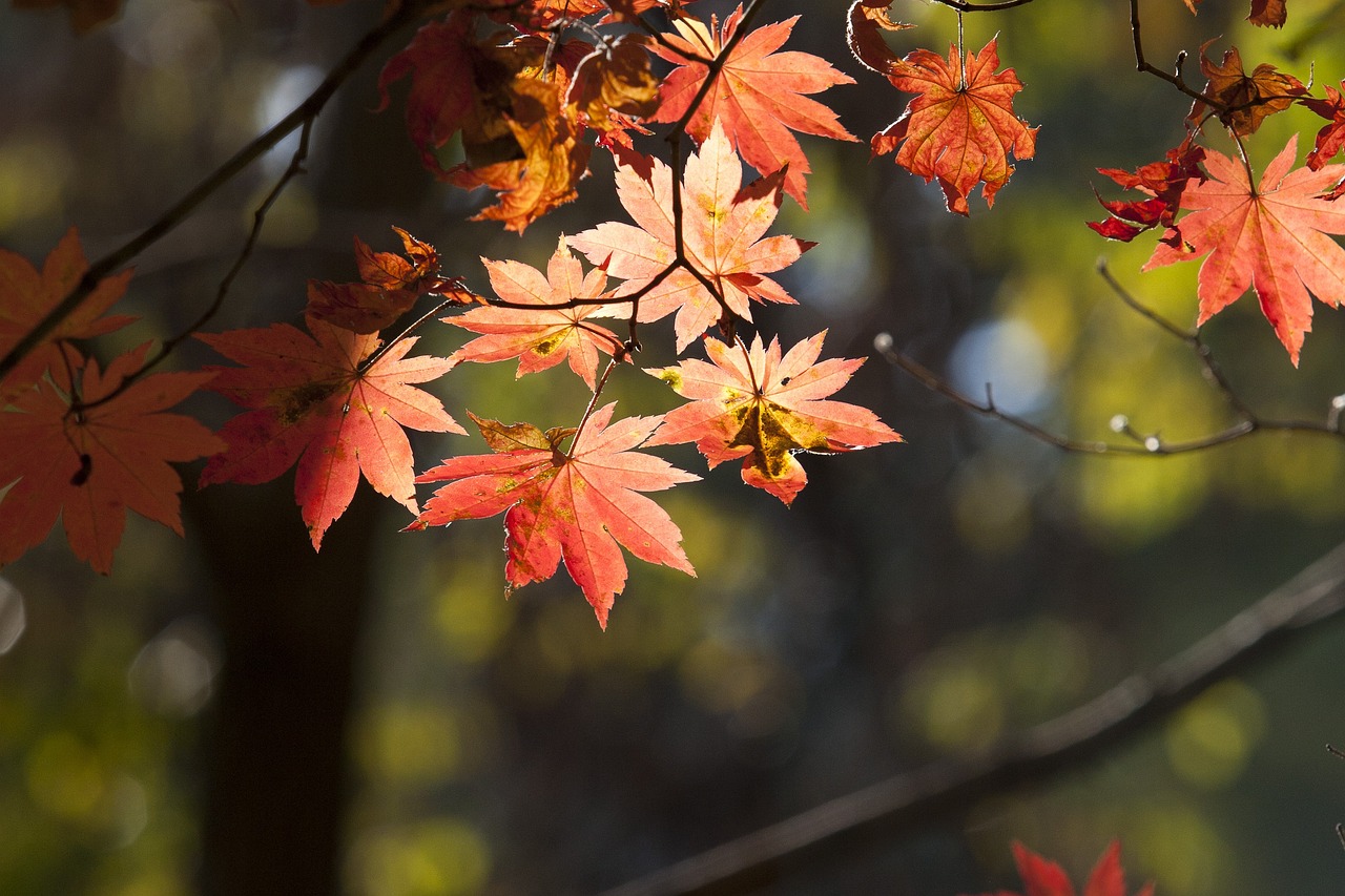 홍천 팔봉산