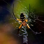 고소공포증 극복을 위한 5가지 방법
